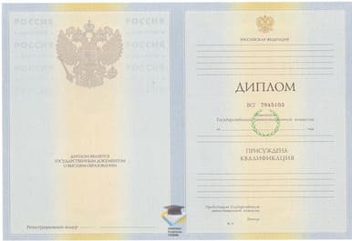 Диплом ИУБиТ 2010-2011 годов